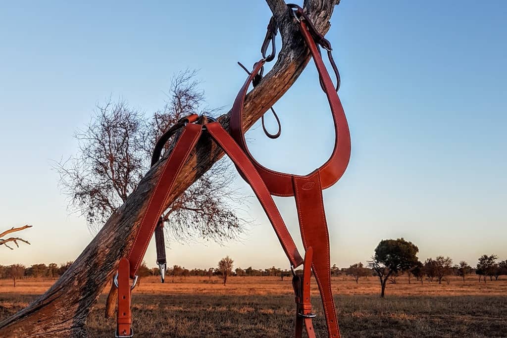 Breast Collars & Martingales
