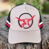 Texas Longhorn Tours trucker cap (grey & black)