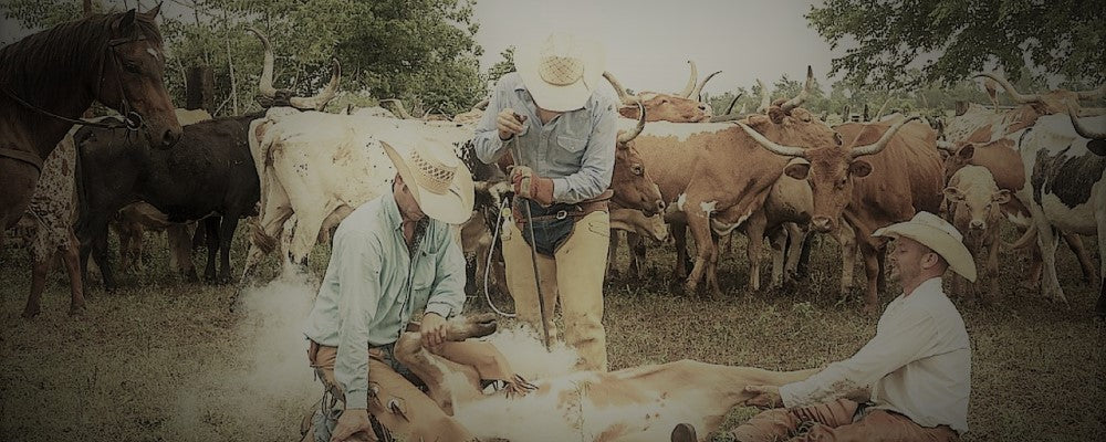 Hand-crafted saddlery & tack by Bethel Saddlery 