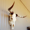 Bethel Saddlery - Cattle Skull